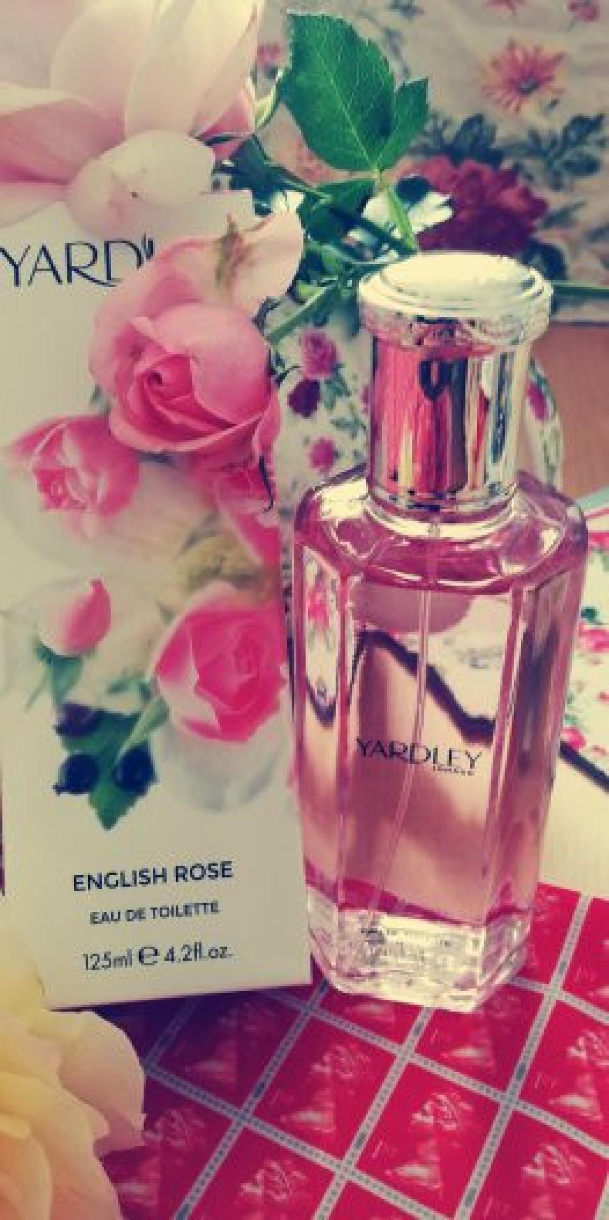 English Rose Contemporary Edition Yardley Perfume A Fragrance For   XgmXZm84CZ5O2rB9 