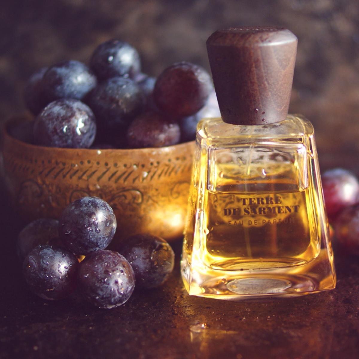 Terre de Sarment Frapin perfume - a fragrance for women and men 2007