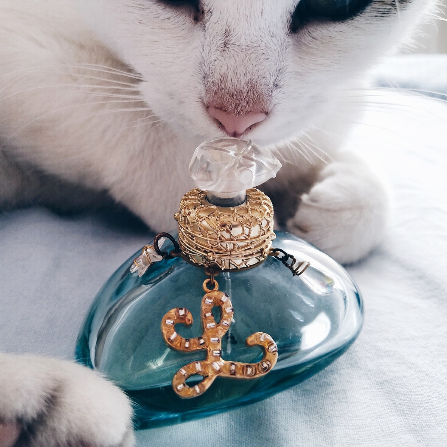 l-de-lolita-lempicka-lolita-lempicka-fragancia-una-fragancia-para