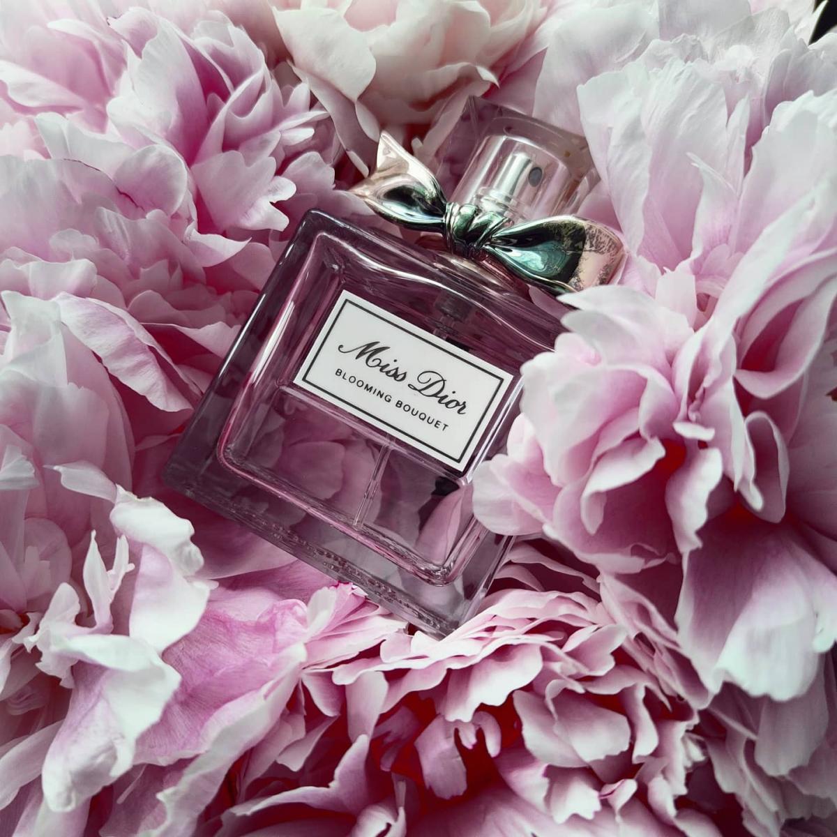 Dior miss dior parfum 2024