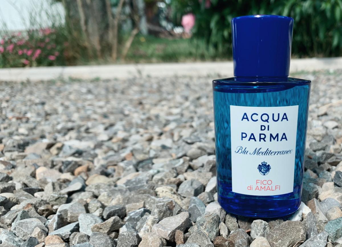 Acqua di Parma Blu Mediterraneo Fico di Amalfi Acqua di Parma perfume a fragrance for women