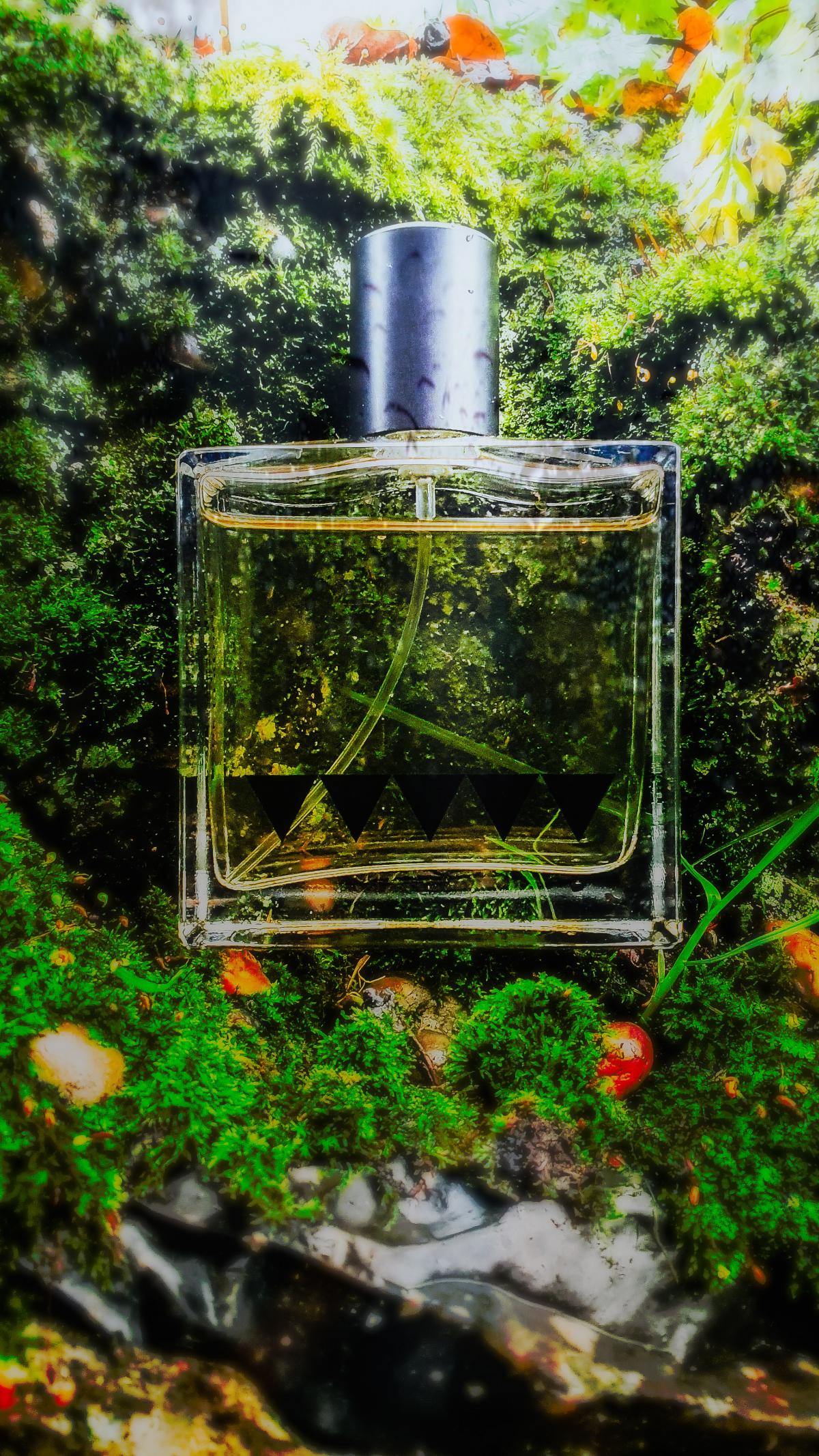 Undergrowth 2020 Edition Rook Perfumes perfume - a fragrance for women ...