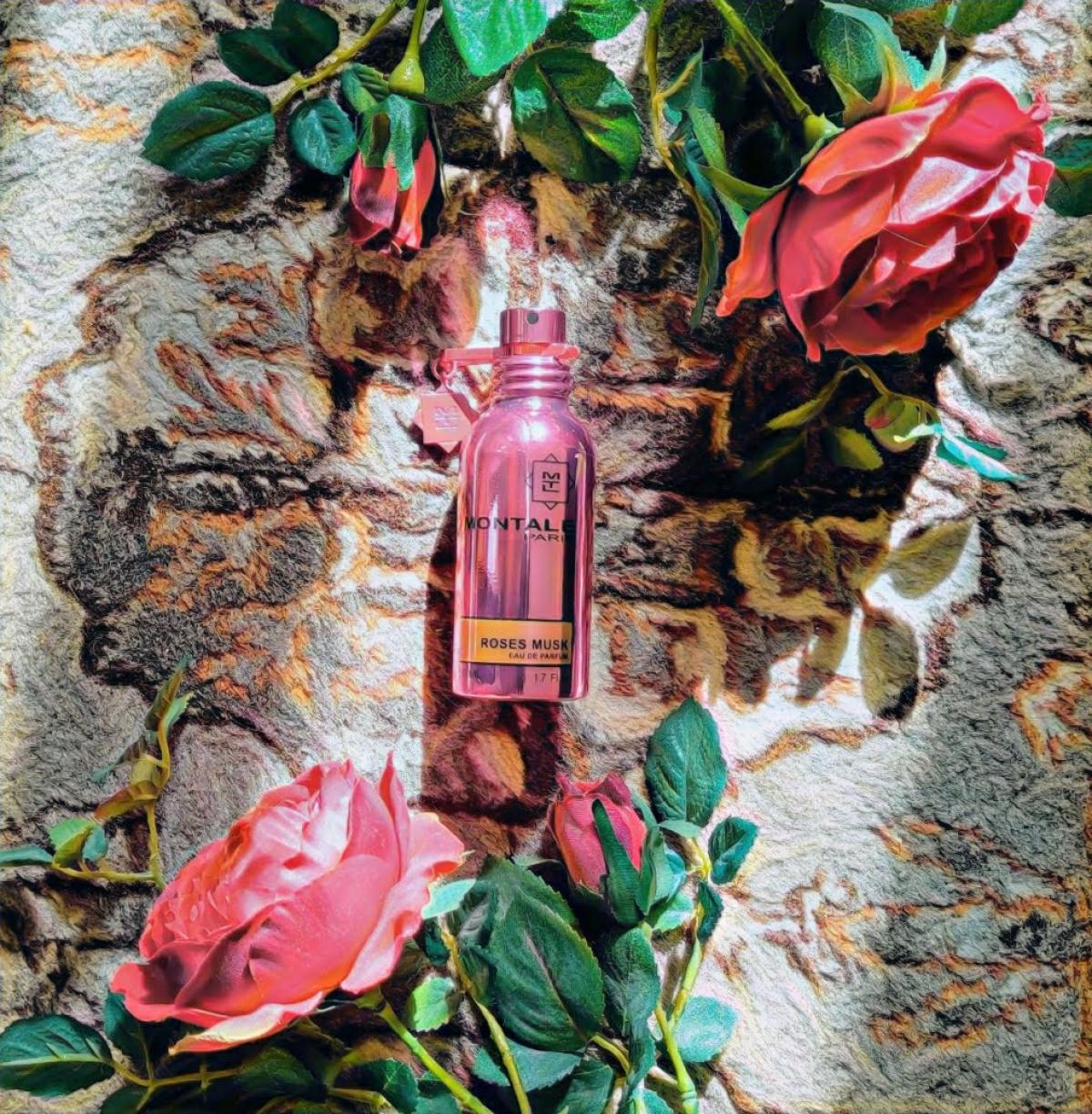 Roses Musk Montale - una fragranza da donna 2009