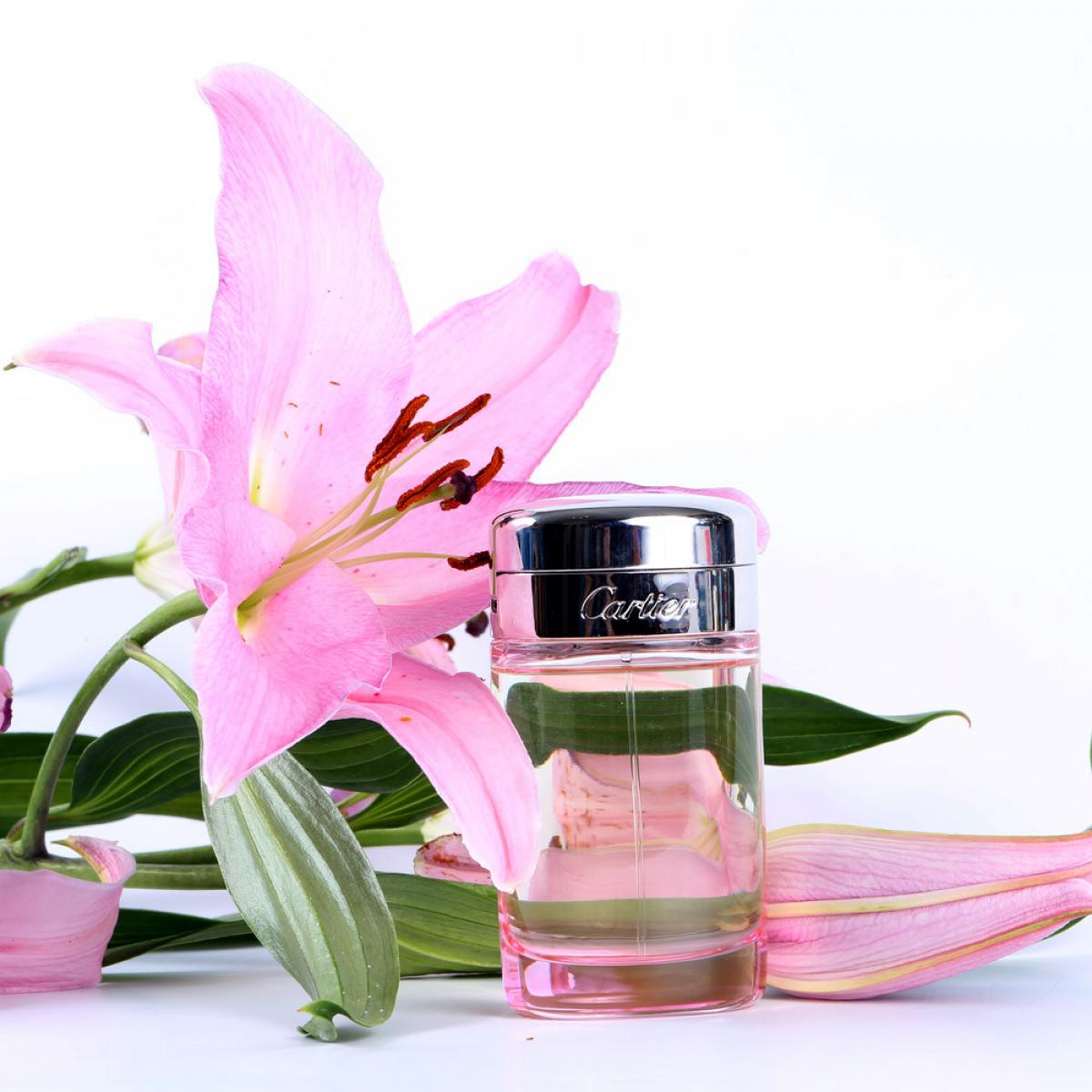Baiser Vole Lys Rose Cartier perfume - a fragrance for women 2014