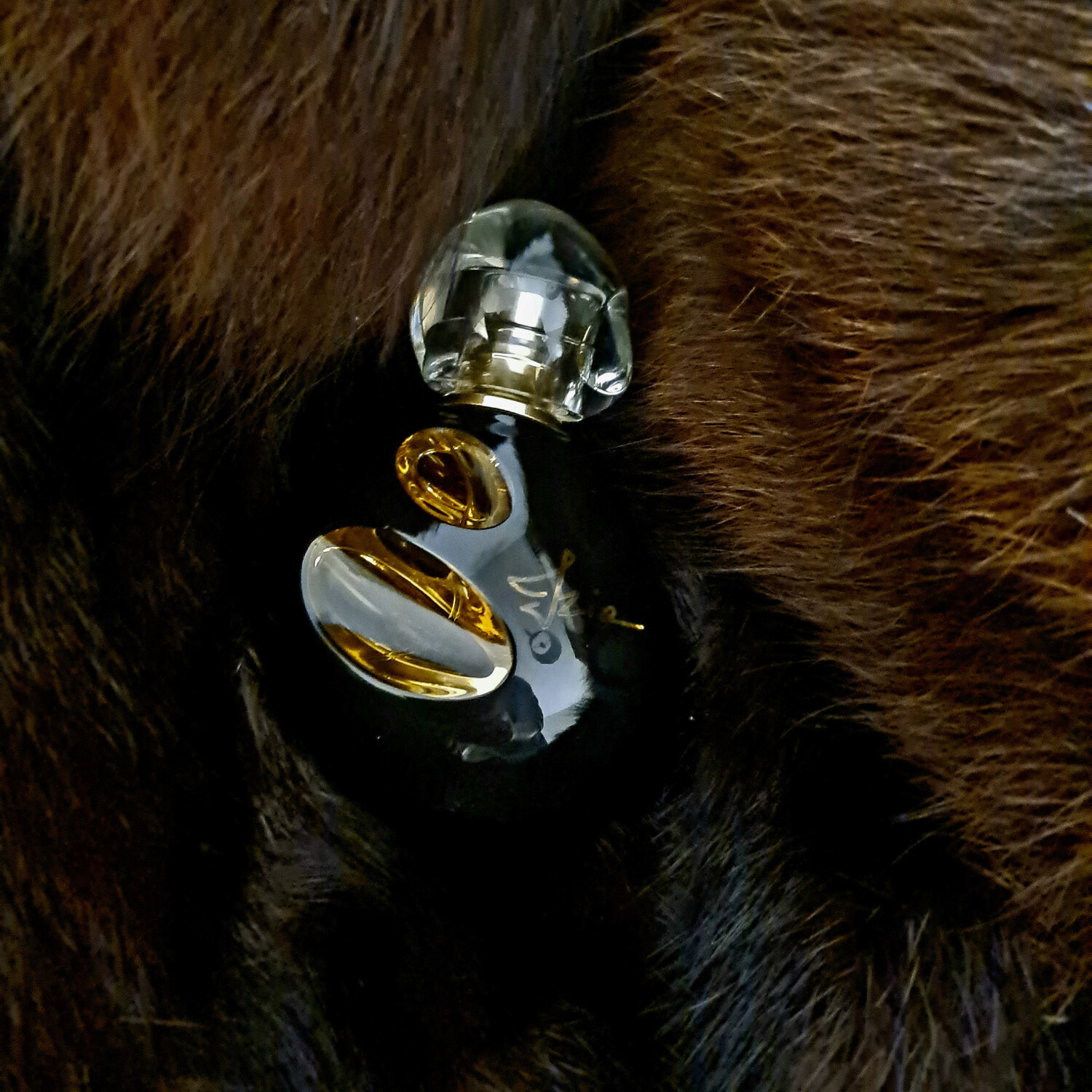 sisley perfume izia la nuit