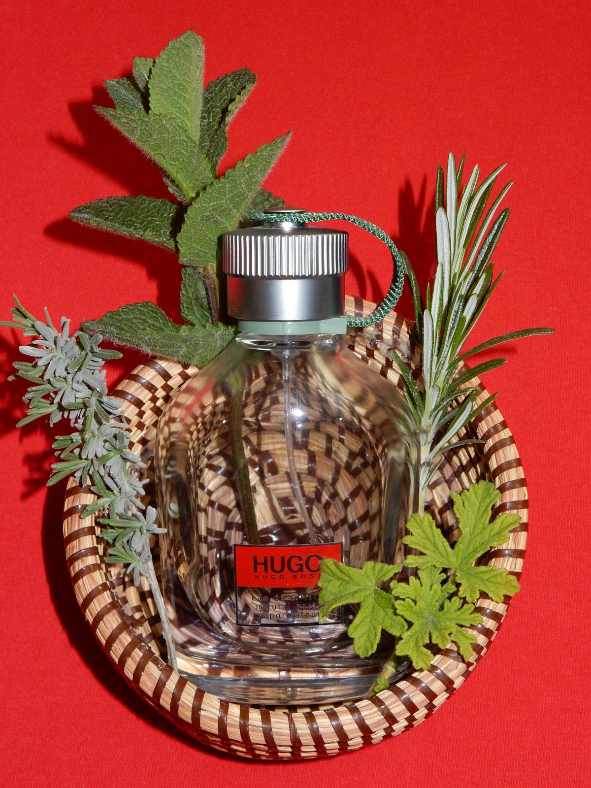 Hugo Hugo Boss cologne - a fragrance for men 1995