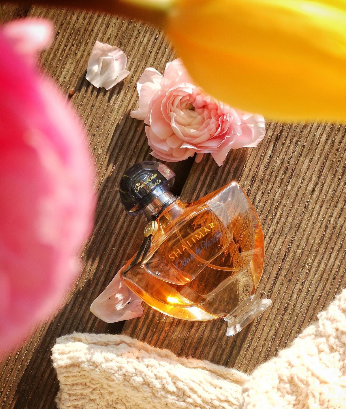 Shalimar Ode a la Vanille Sur la Route du Mexique Guerlain perfume - a ...