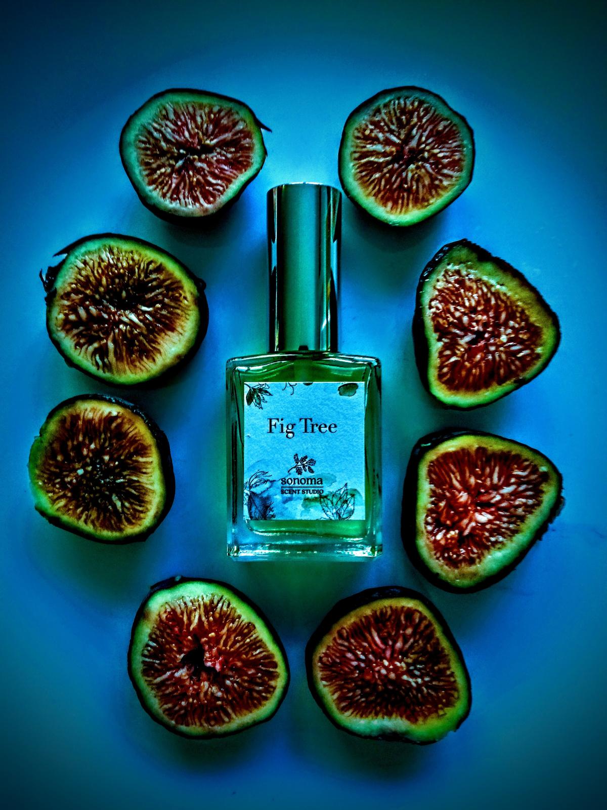 Fig Tree Sonoma Scent Studio perfume a fragrance for women and men 2011