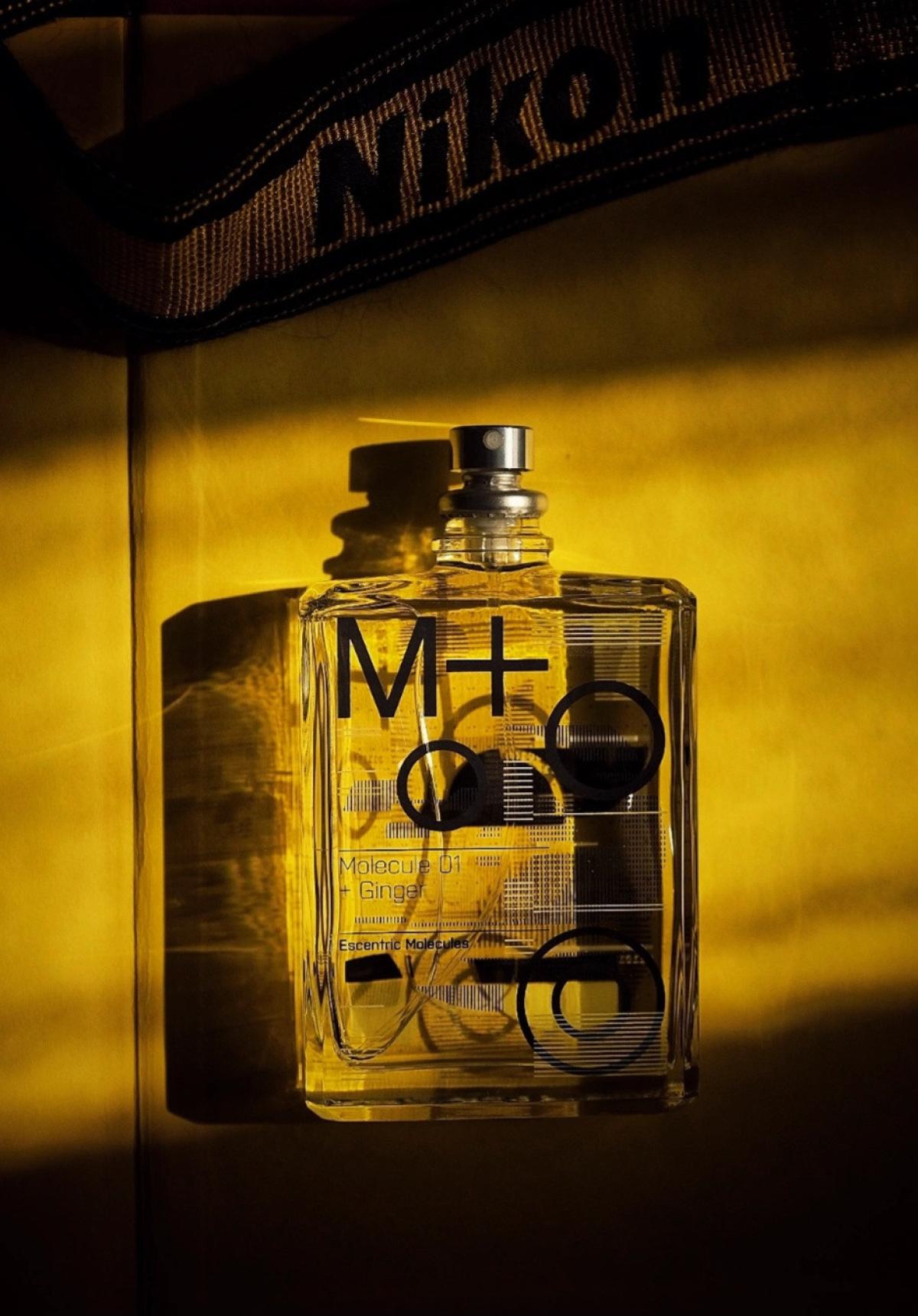 Molecule 01 + Ginger Escentric Molecules perfume a new fragrance for women and men 2023