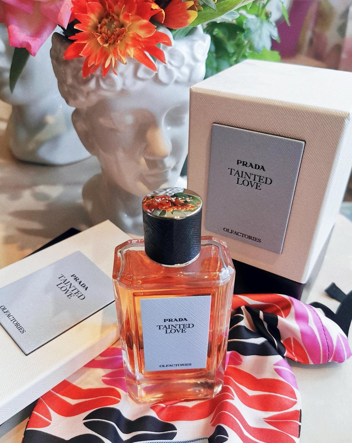 Tainted Love Prada perfume - a fragrance for women and men 2015