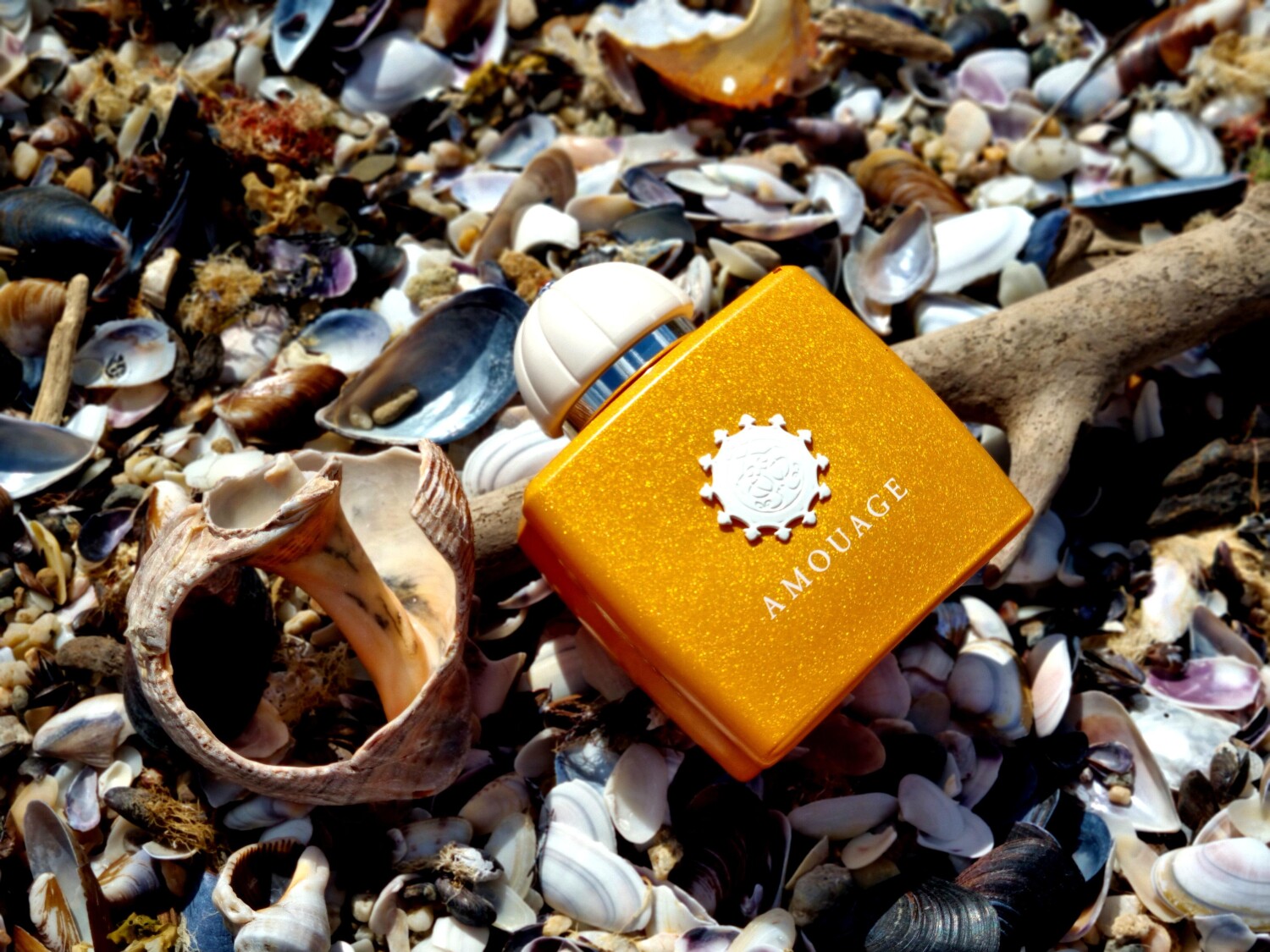 Parfum Rws Beach Hut Woman Amouage perfume - a fragrance for women 2018