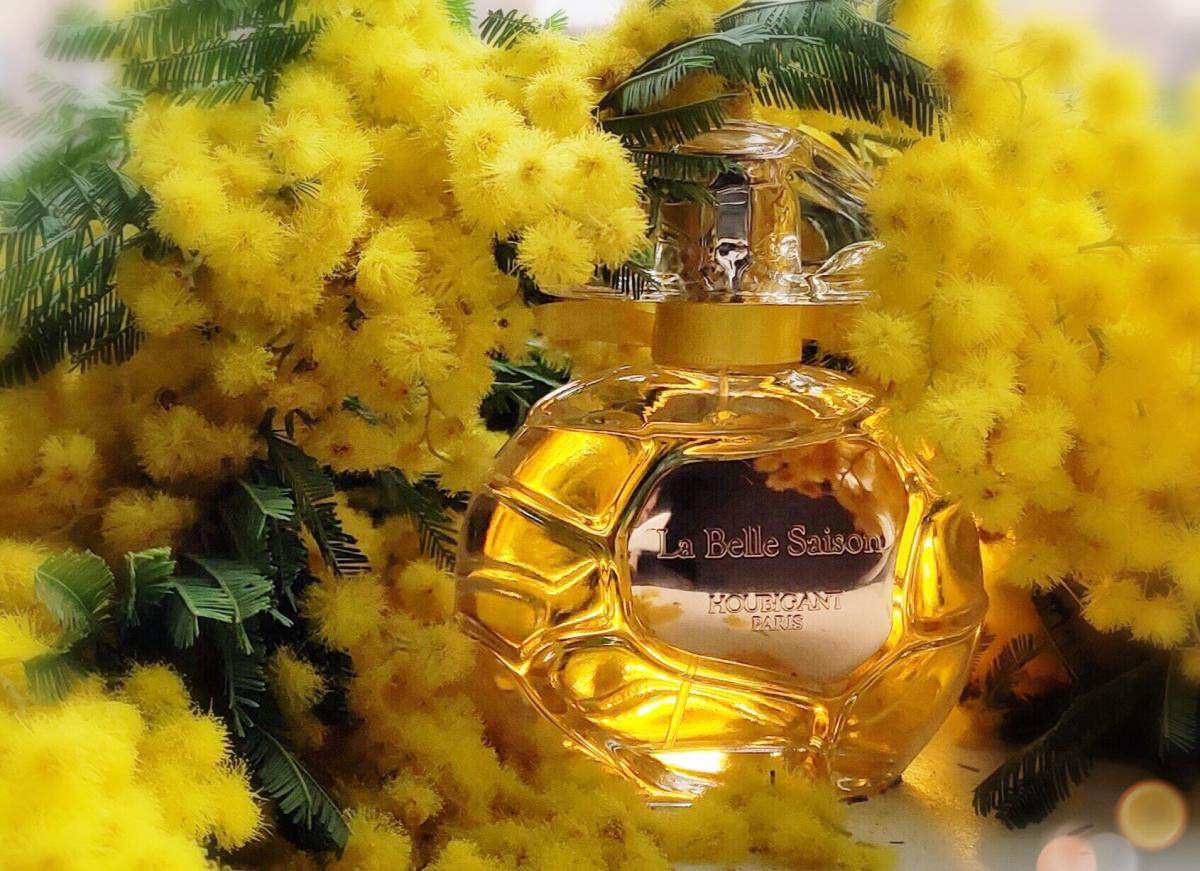 La Belle Saison Houbigant perfume a fragrance for women and men 2020