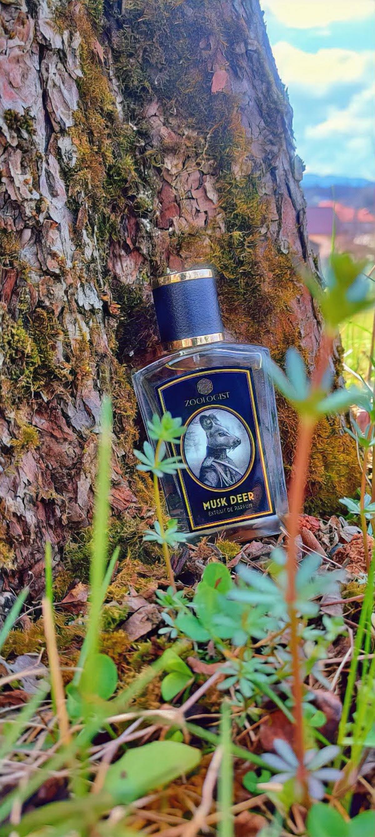 Musk Deer Zoologist Perfumes perfume a fragrance for women and men 2020