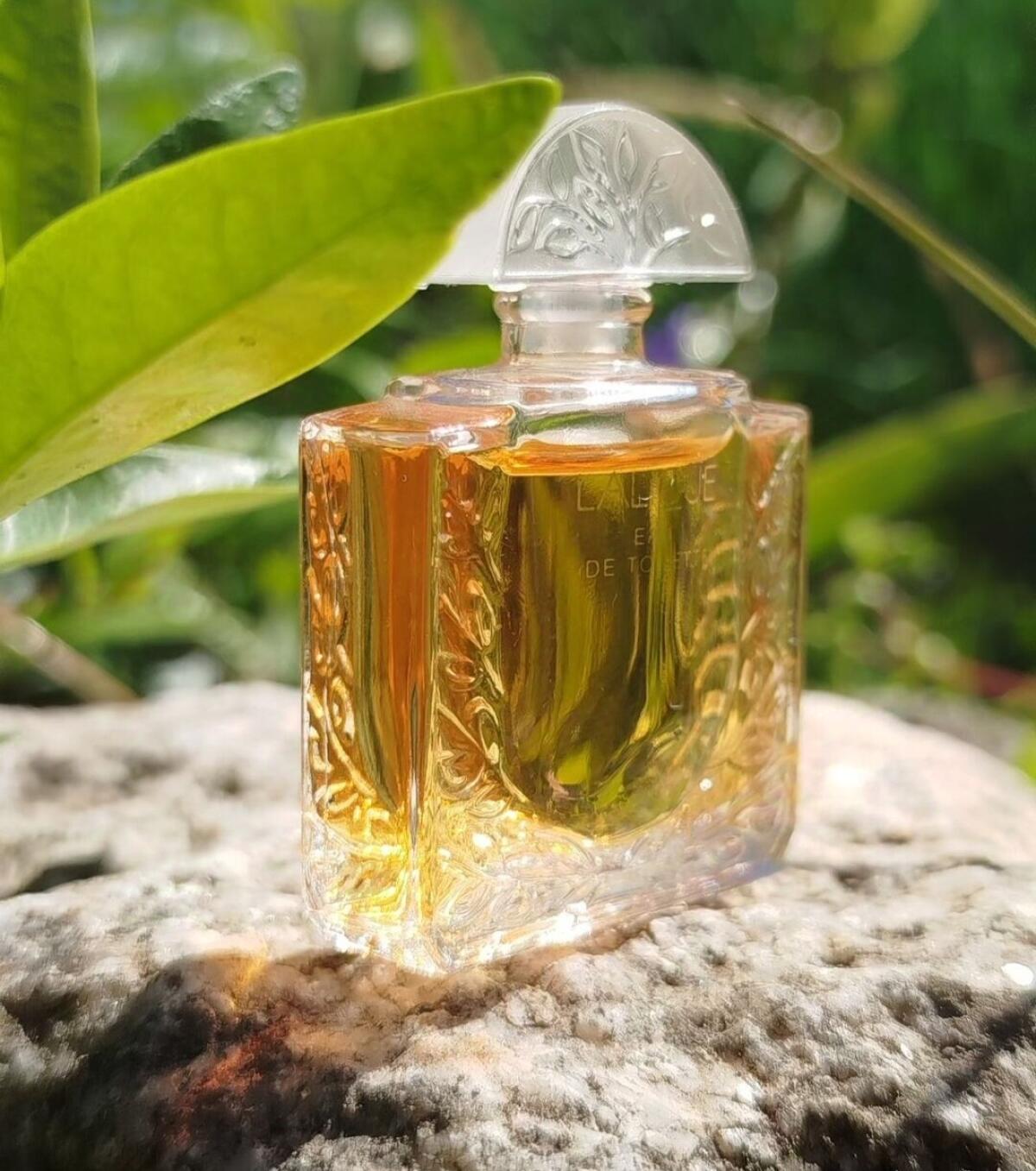 Lalique Lalique аромат — аромат для женщин 1992