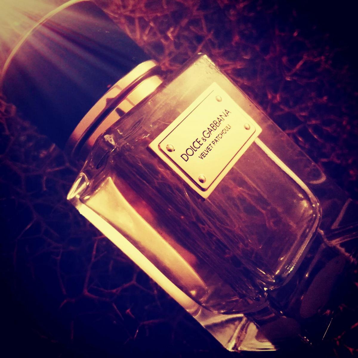 Velvet Patchouli Dolce&Gabbana perfume a fragrance for women and men 2011