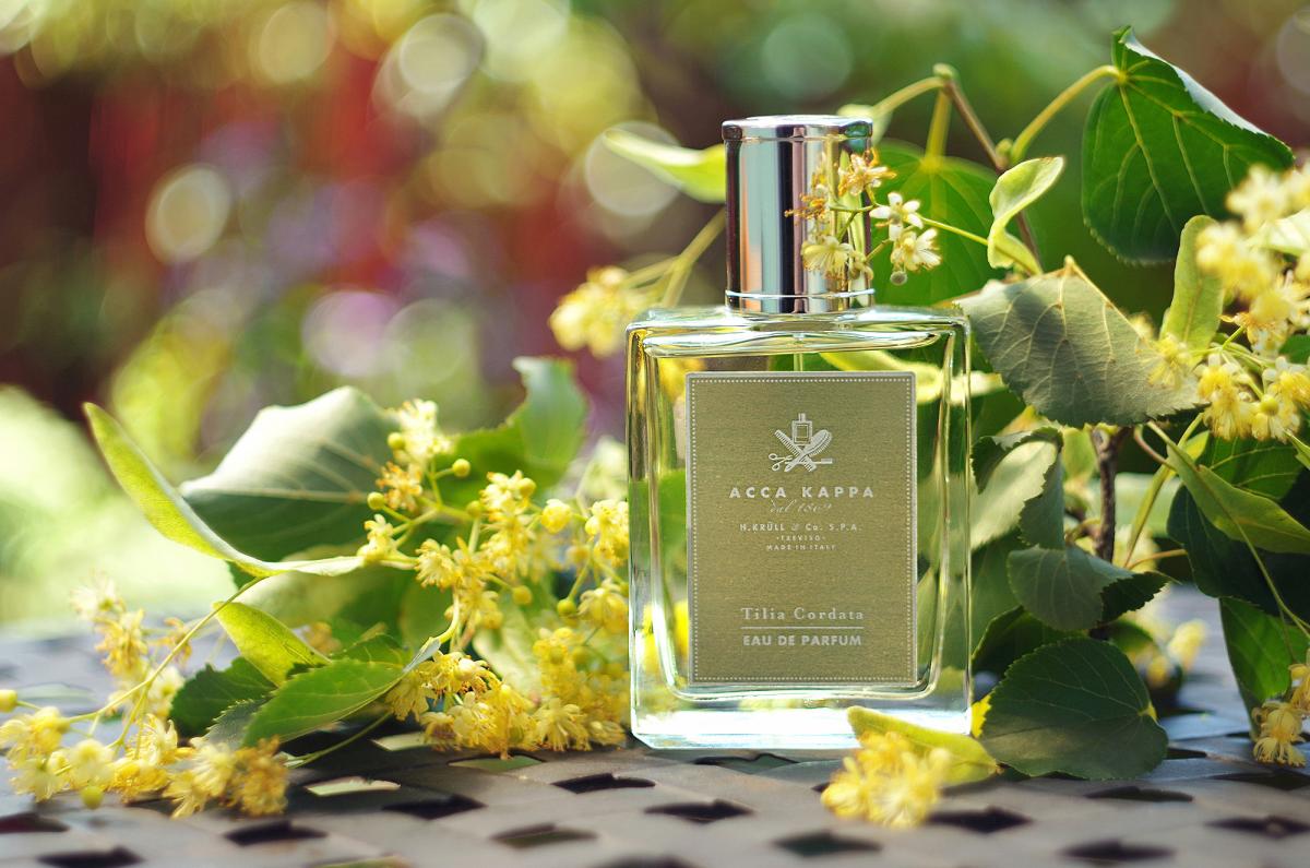 Tilia Cordata Acca Kappa perfume - a fragrance for women and men 2014