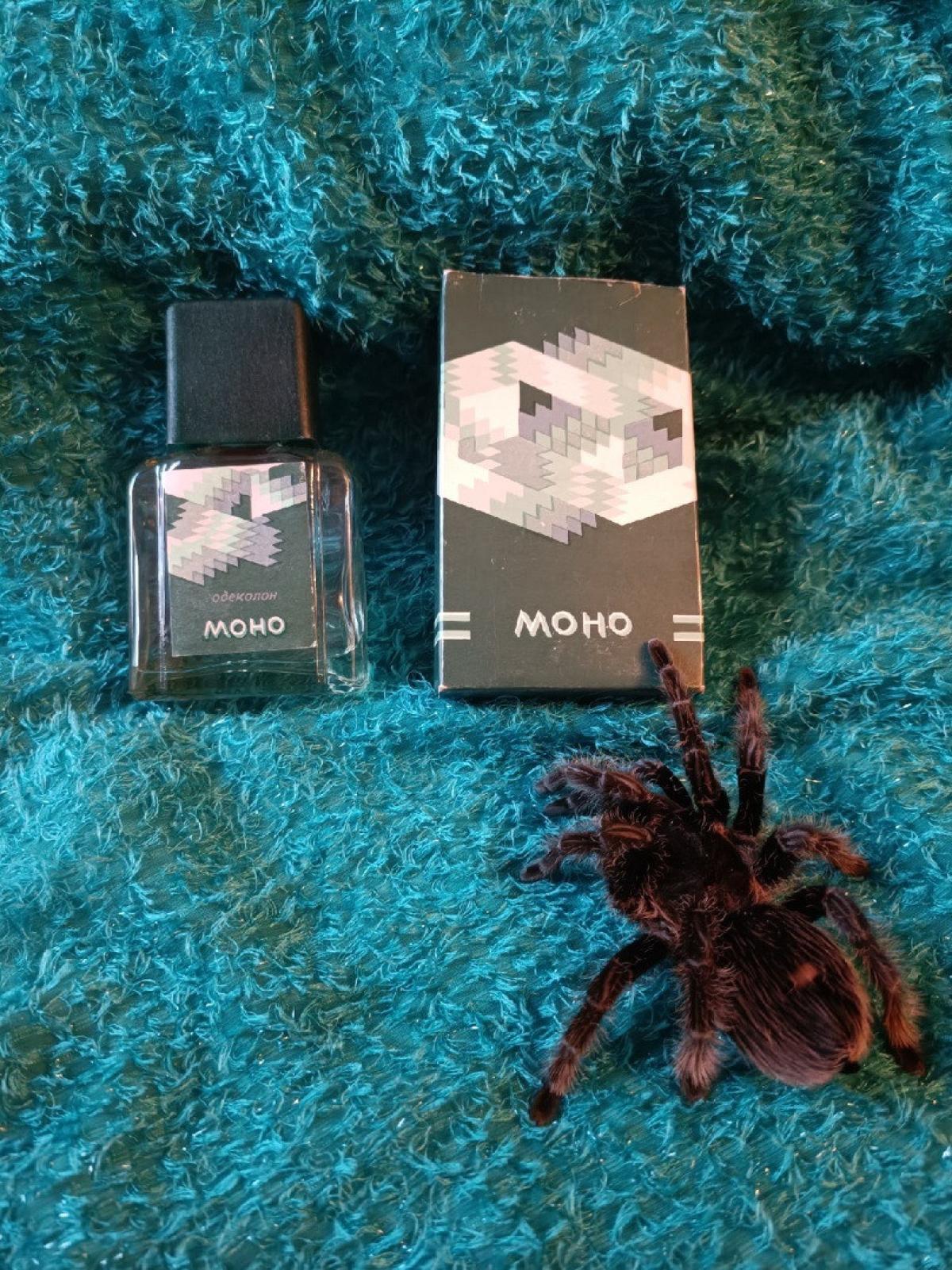 Моно Северное сияние cologne - a fragrance for men