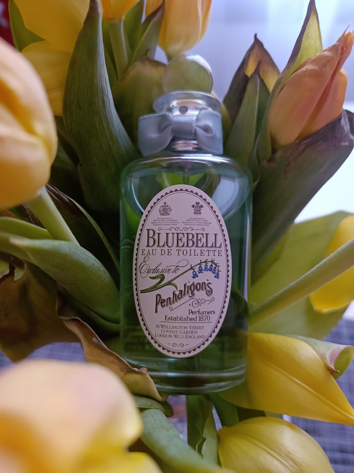 Bluebell Penhaligon's perfume - a fragrance for women 1978