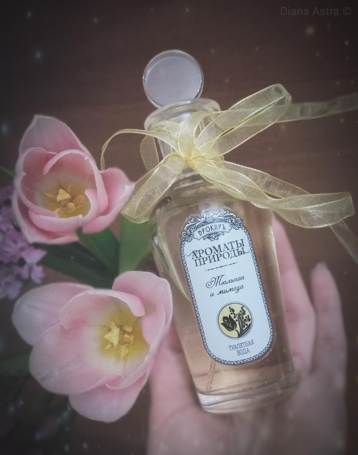 Тюльпан и мимоза - Tulip and Mimosa Brocard аромат — аромат для женщин 2018