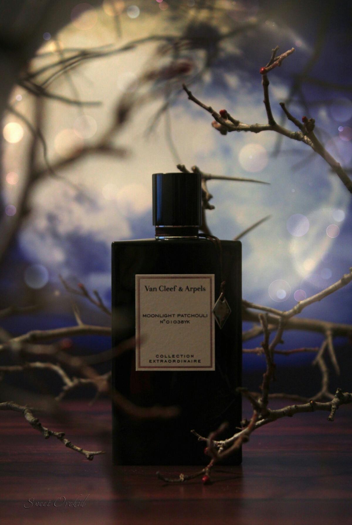 Van cleef moonlight patchouli описание