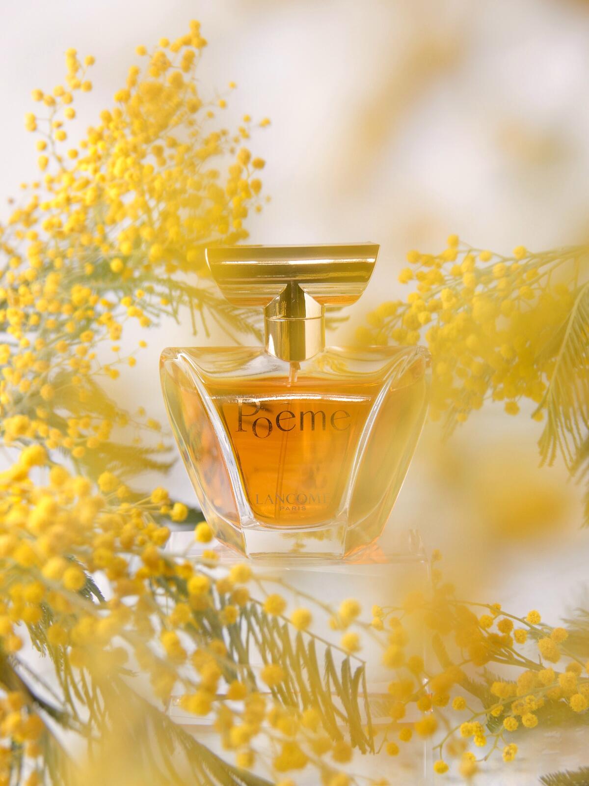 Videoda bir qizni kordim