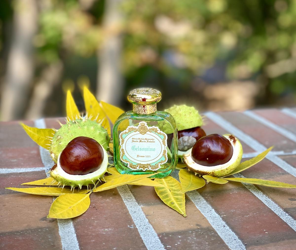 Gelsomino 2023 Santa Maria Novella A Fragrance 2023