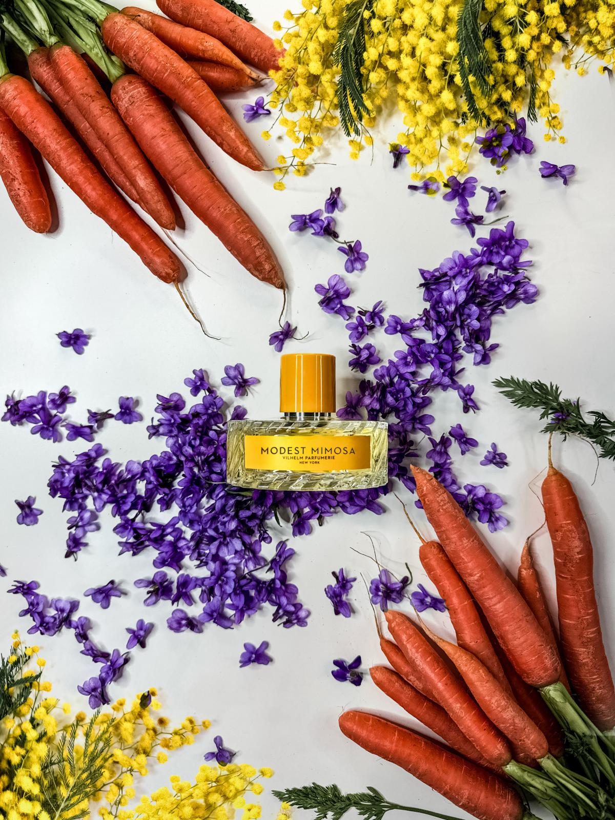 Modest Mimosa Vilhelm Parfumerie perfume - a fragrance for women and ...