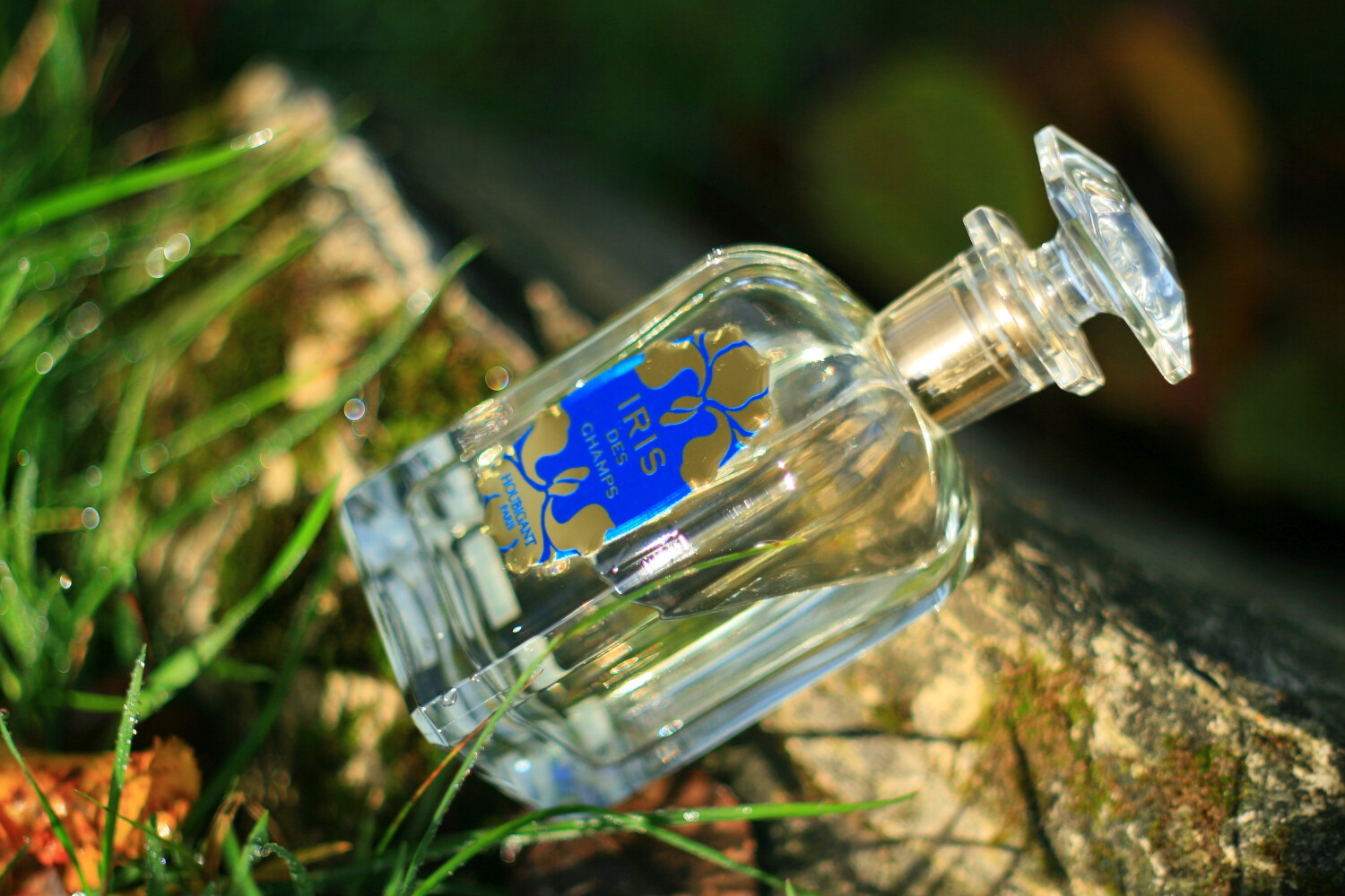 Eau De Parfum Iris De Champs Houbigant - 100 Ml - Senteur Florale - Pour Femme - Neuf