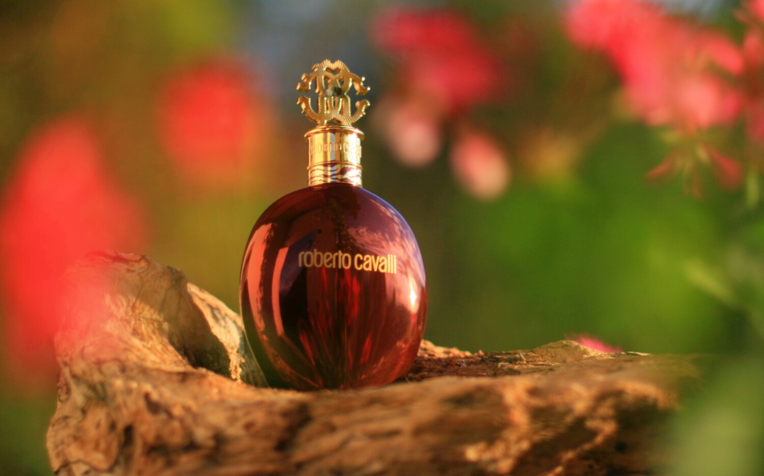 Roberto Cavalli Tiger Oud Roberto Cavalli Perfume A Fragrance For 