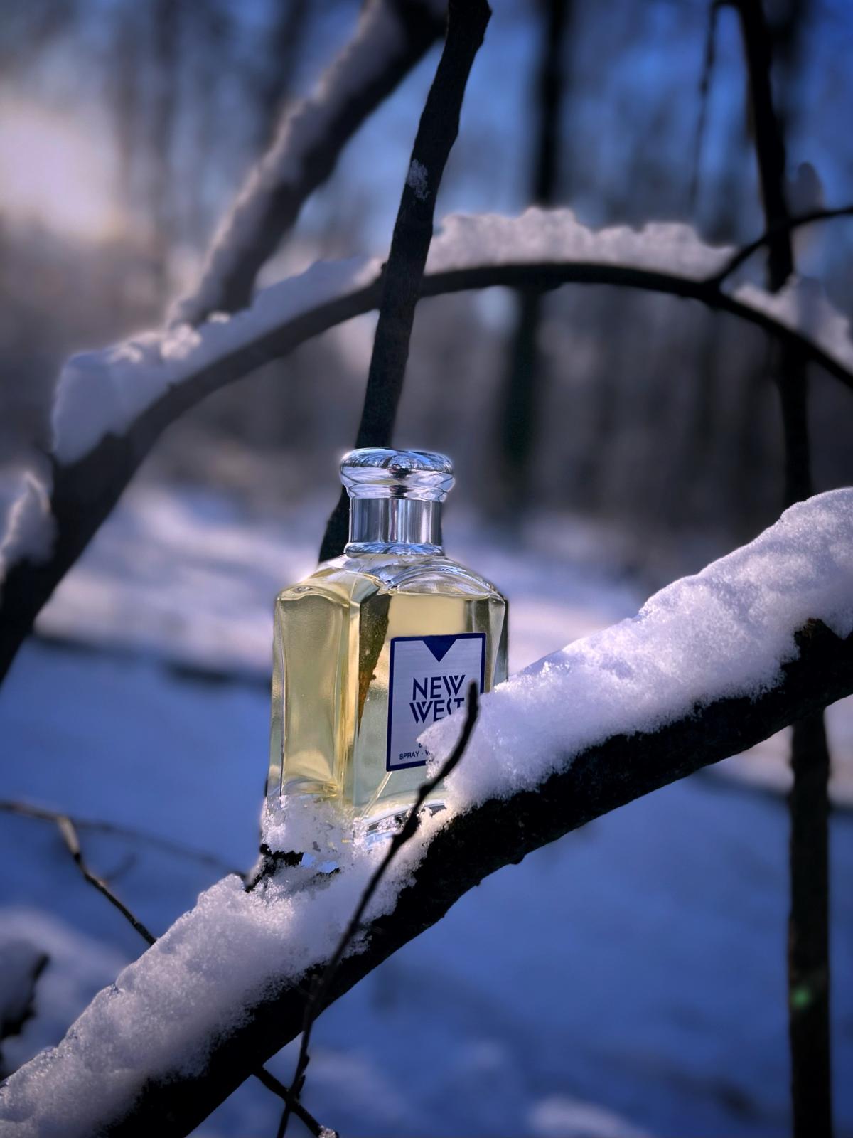 ARAMIS NEW WEST MEN EAU DE TOILETTE SPRAY