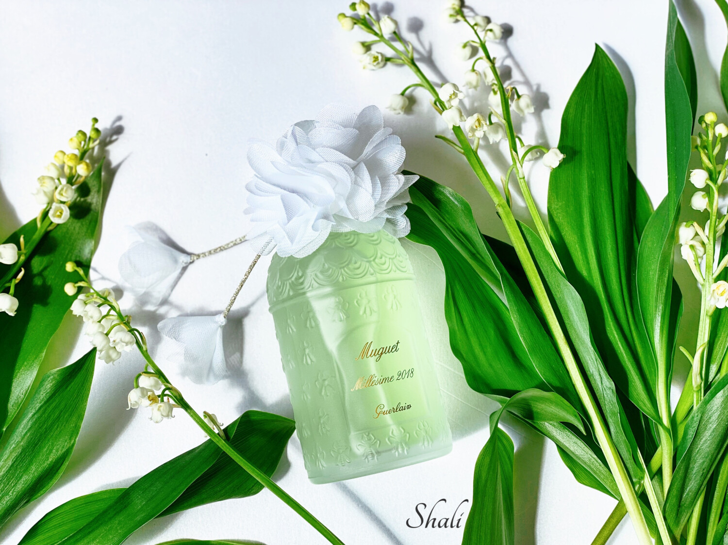 Muguet Millésime 2018 Guerlain perfume a fragrance for women 2018