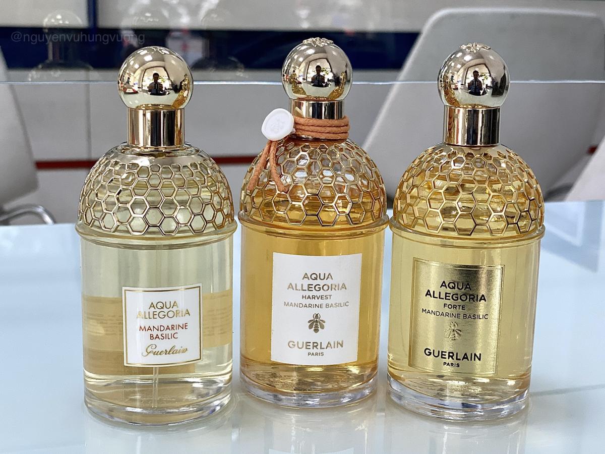 Aqua Allegoria Mandarine Basilic Guerlain perfume - a fragrance for ...