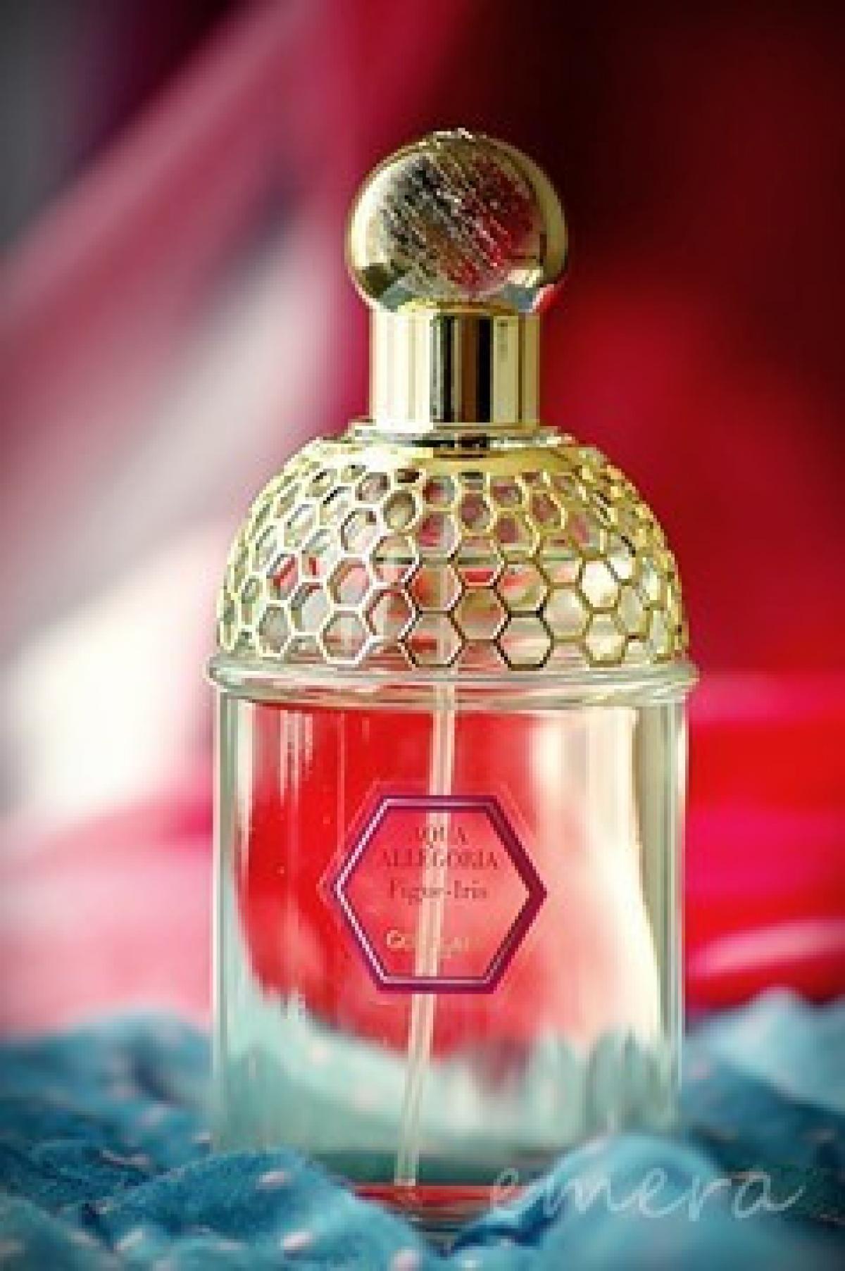 Aqua Allegoria Figue-Iris Guerlain perfume - a fragrance for women 2008