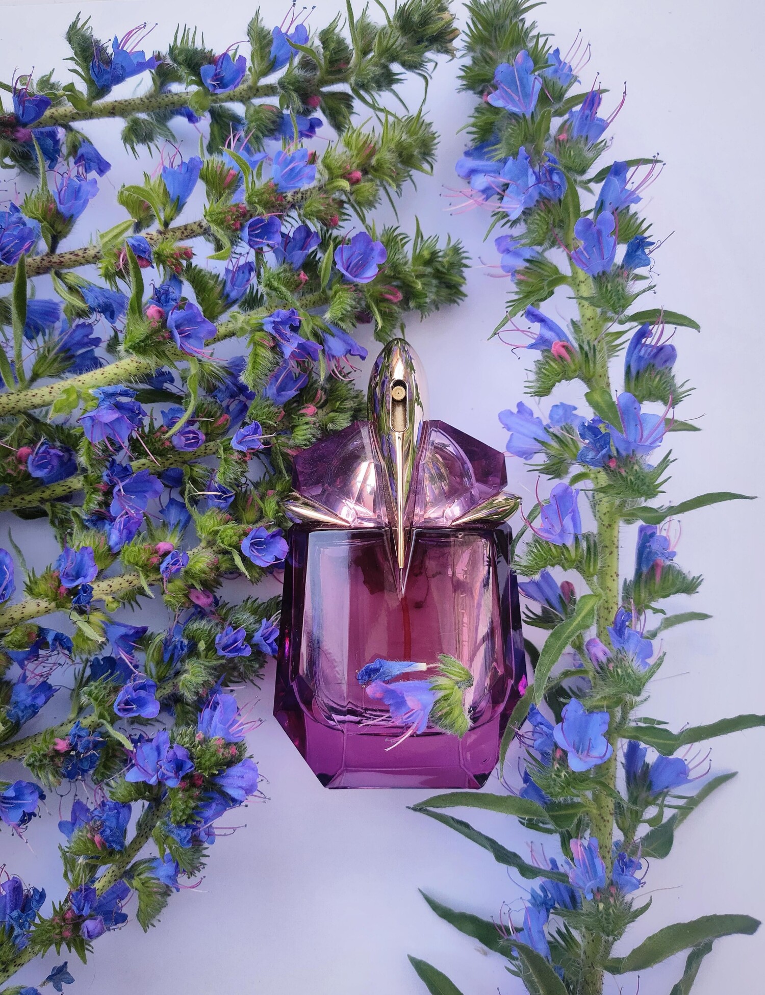 Alien Eau de Toilette Mugler perfume - a fragrance for women 2009