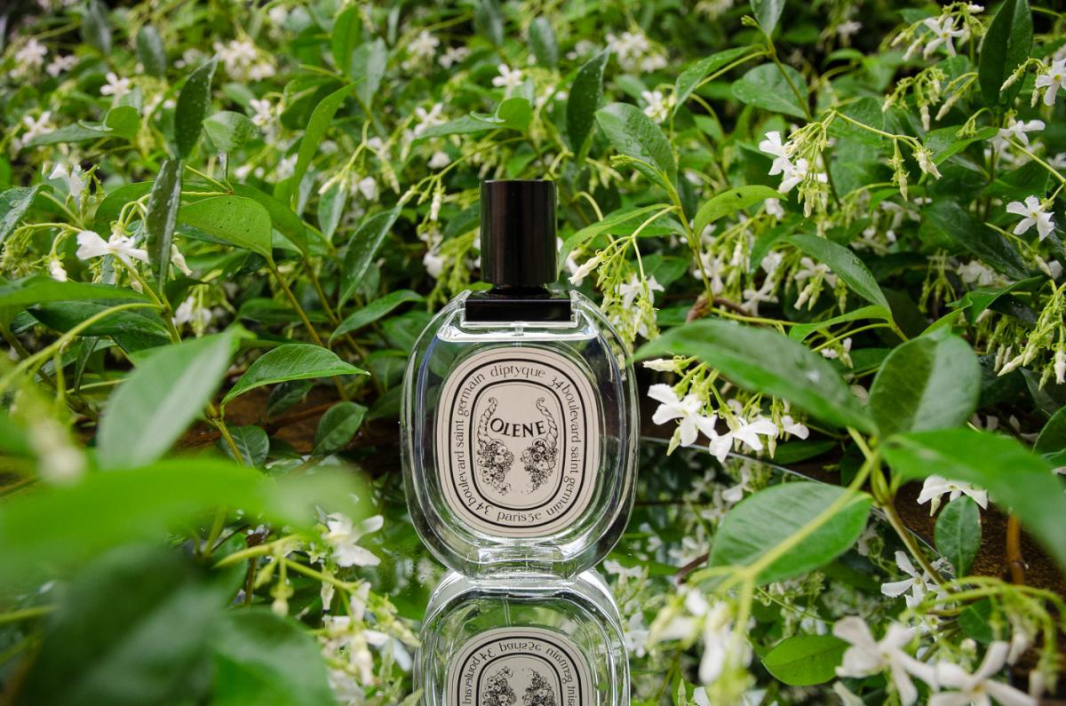 Olene Diptyque perfume - a fragrance for women 1988
