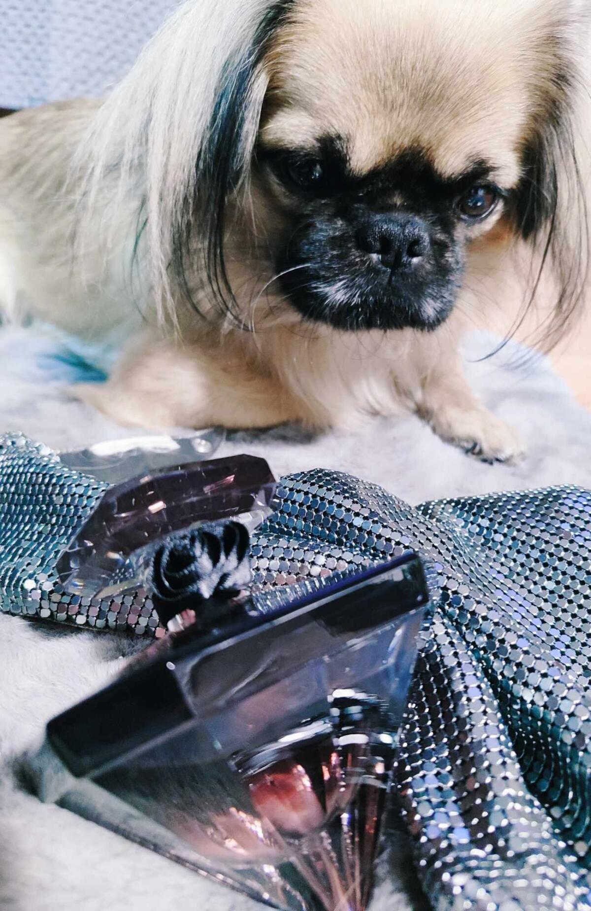La Nuit Trésor Lancôme аромат — аромат для женщин 2015