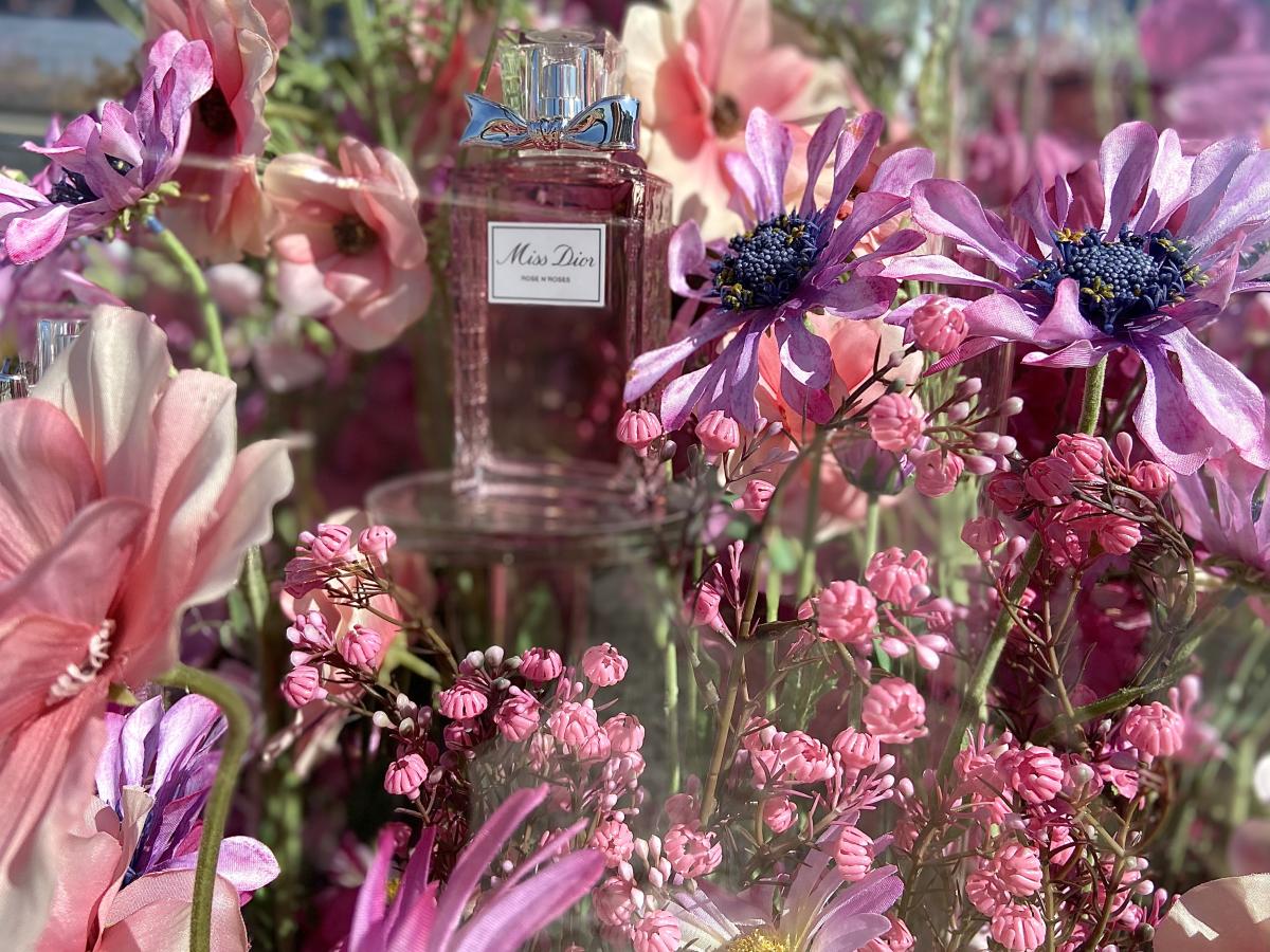 Miss Dior Rose N'Roses Dior perfume - a fragrance for women 2020