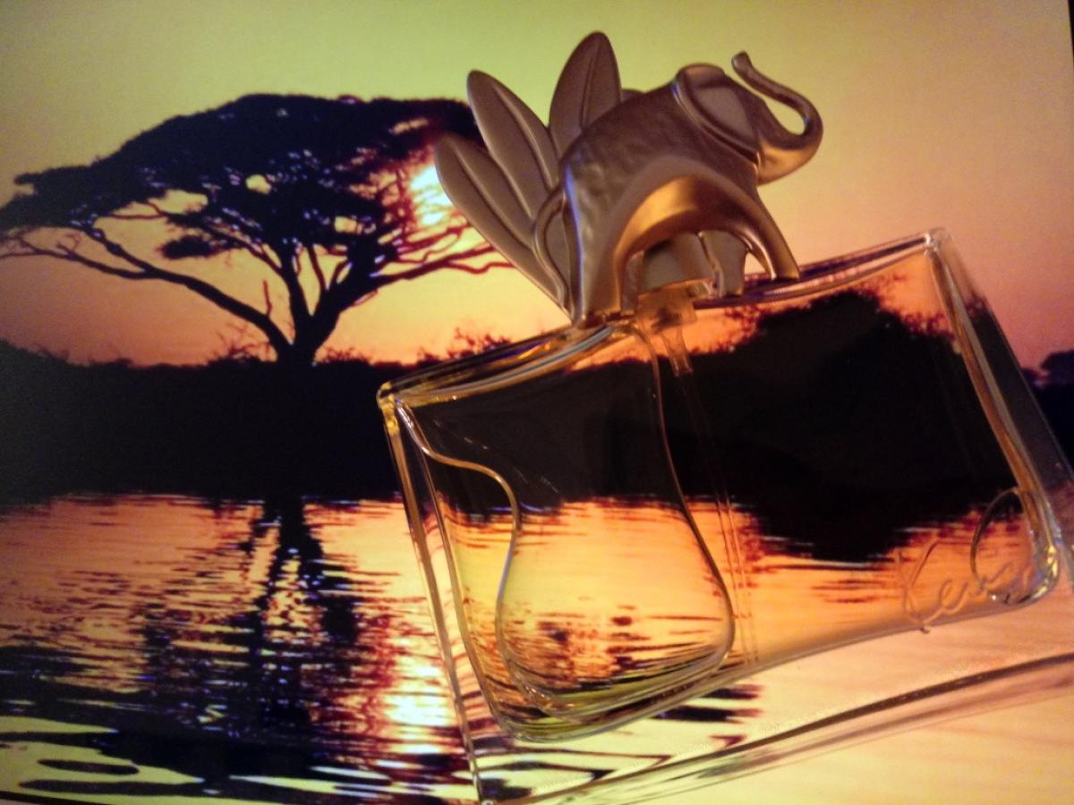 Kenzo Jungle L'Elephant Kenzo perfume a fragrance for women 1996