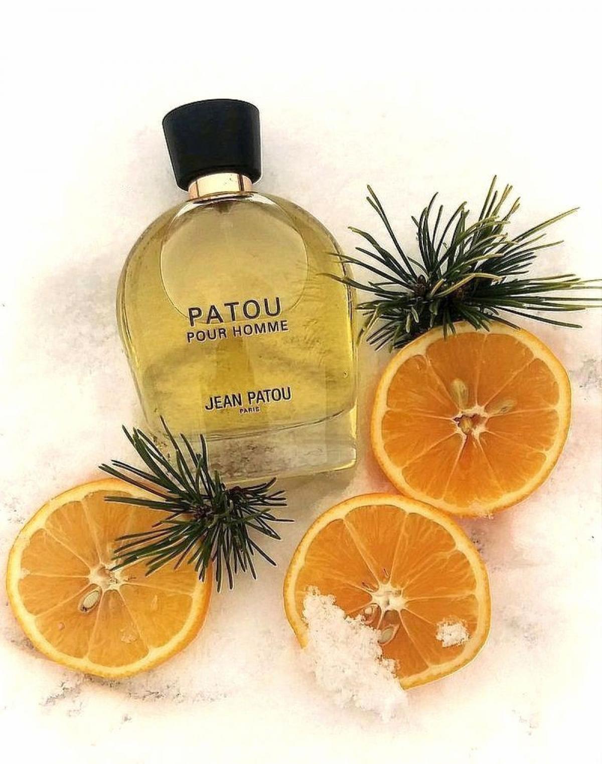 Collection Heritage Patou Pour Homme Jean Patou cologne - a fragrance ...