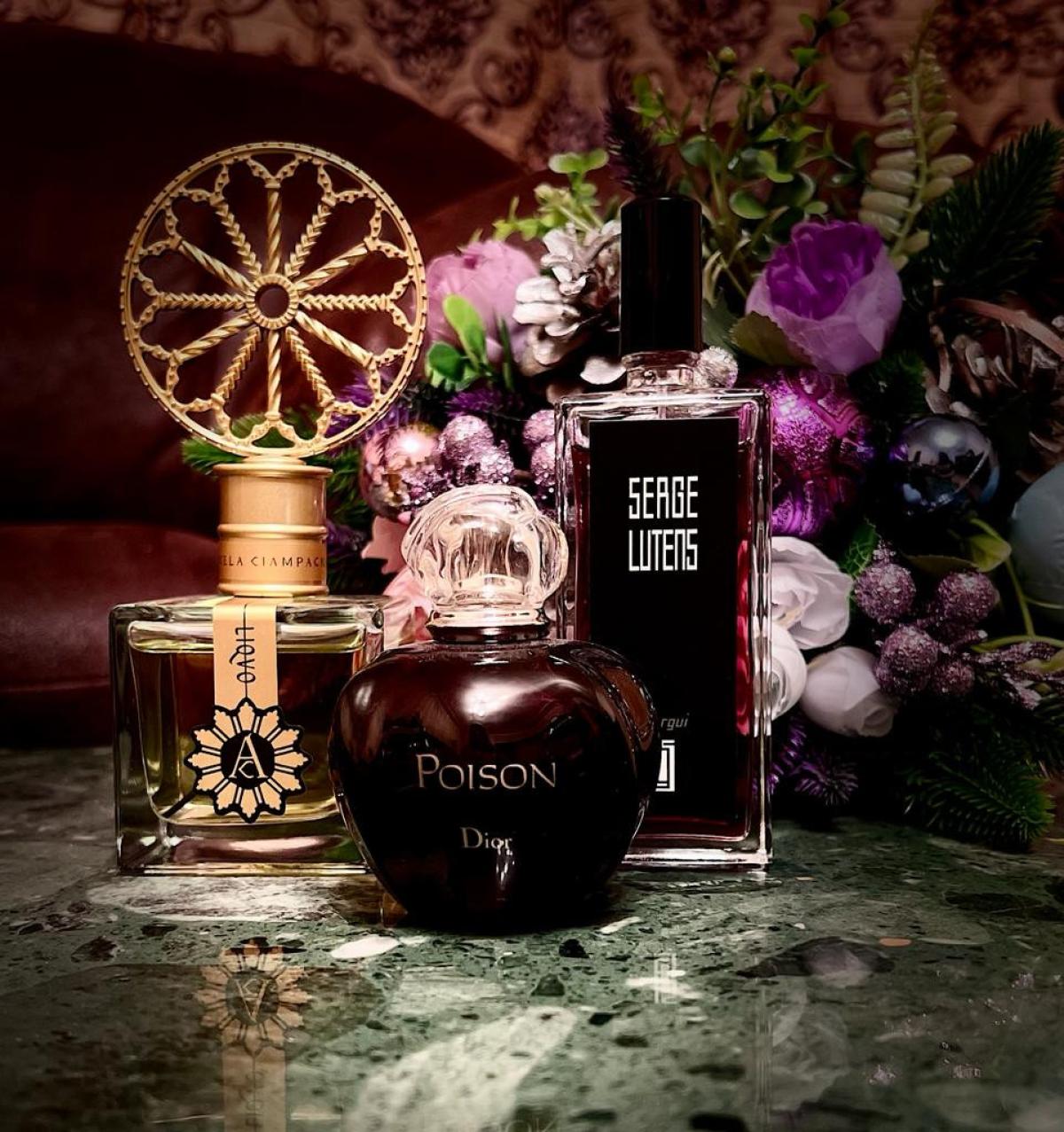 Chergui Serge Lutens perfume - a fragrance for women and men 2001