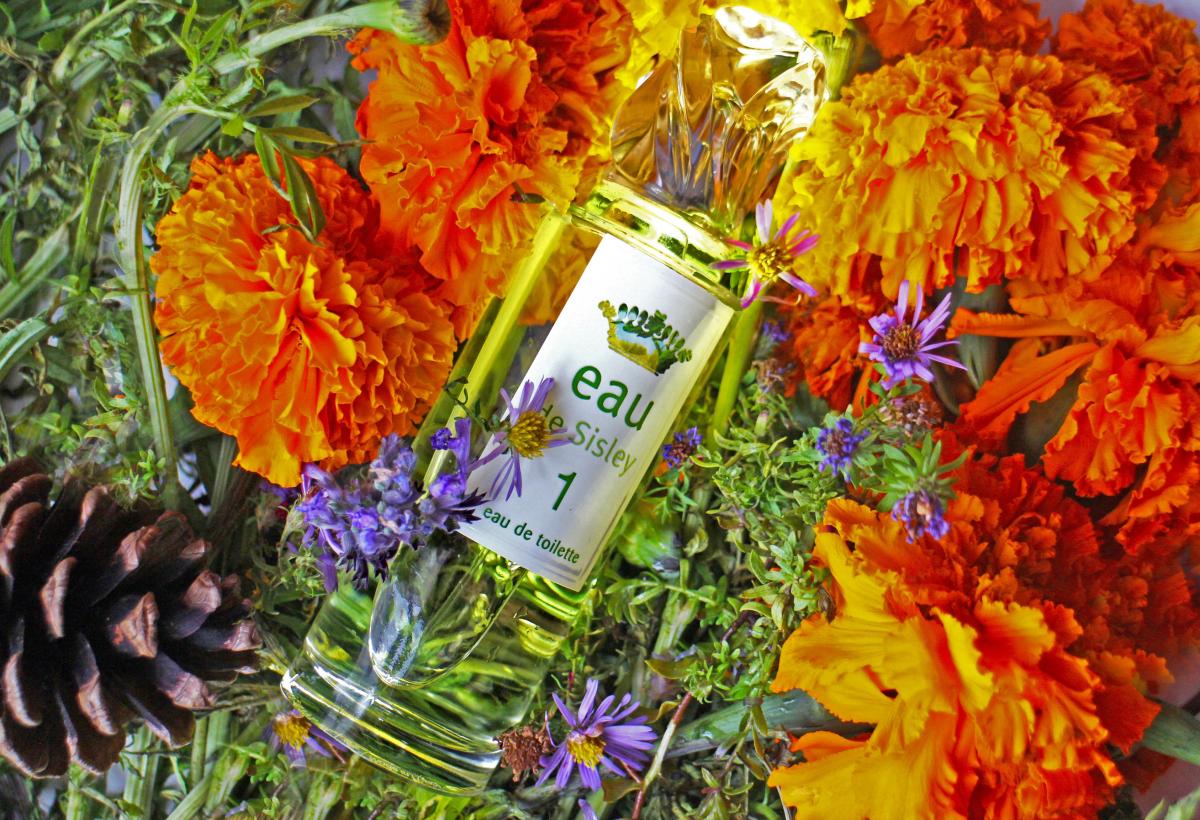 Sisley Eau de 1 Sisley perfume - a fragrance for women 2009