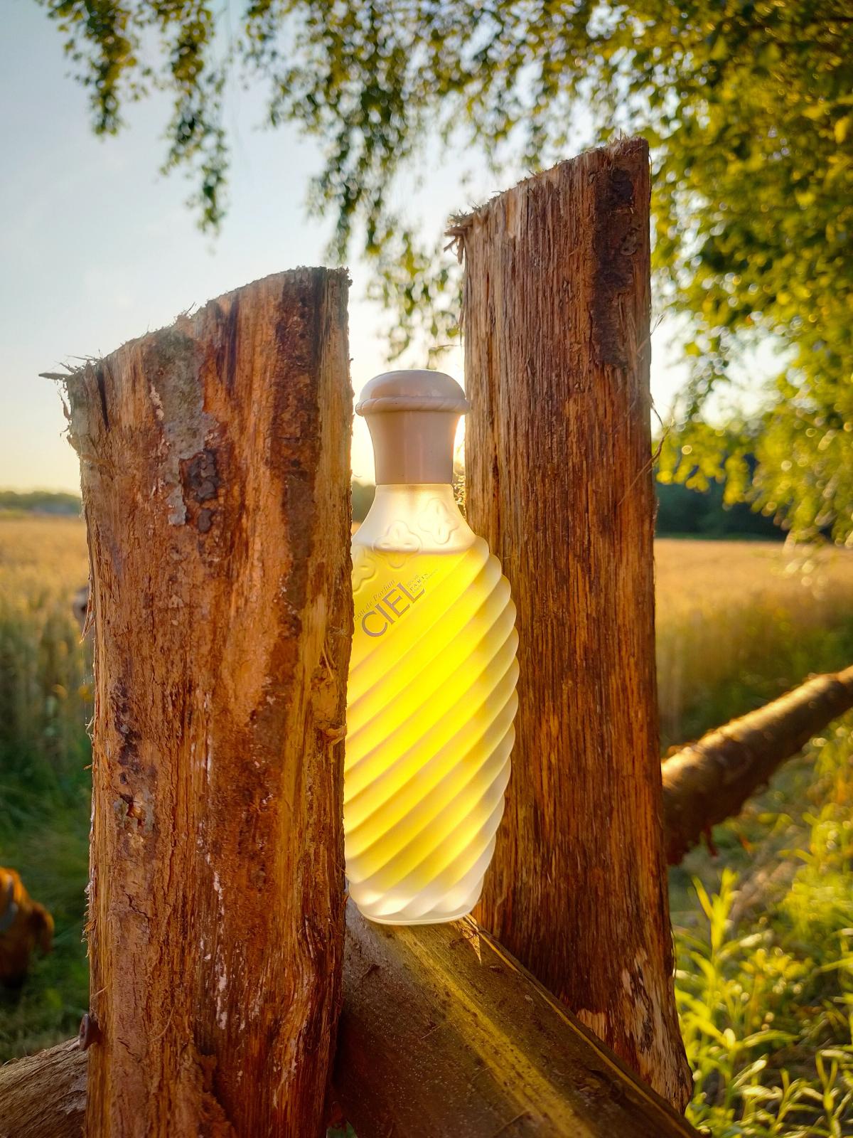 Ciel Ulric de Varens perfume - a fragrance for women