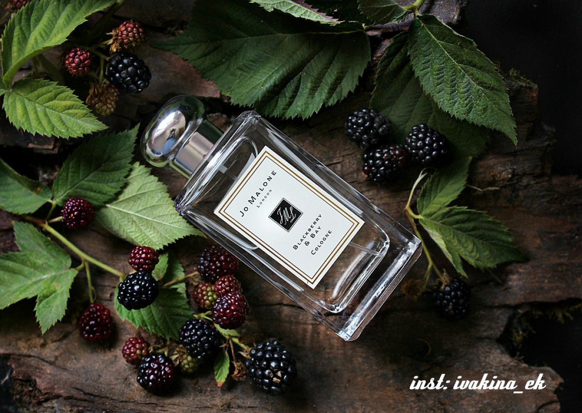 Blackberry & Bay Jo Malone London perfume - a fragrance for women 2012