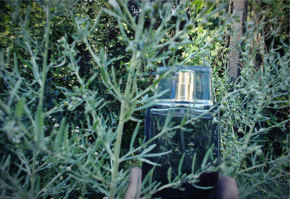 Today Tomorrow Always For Him Avon cologne - a fragrance for men 2021