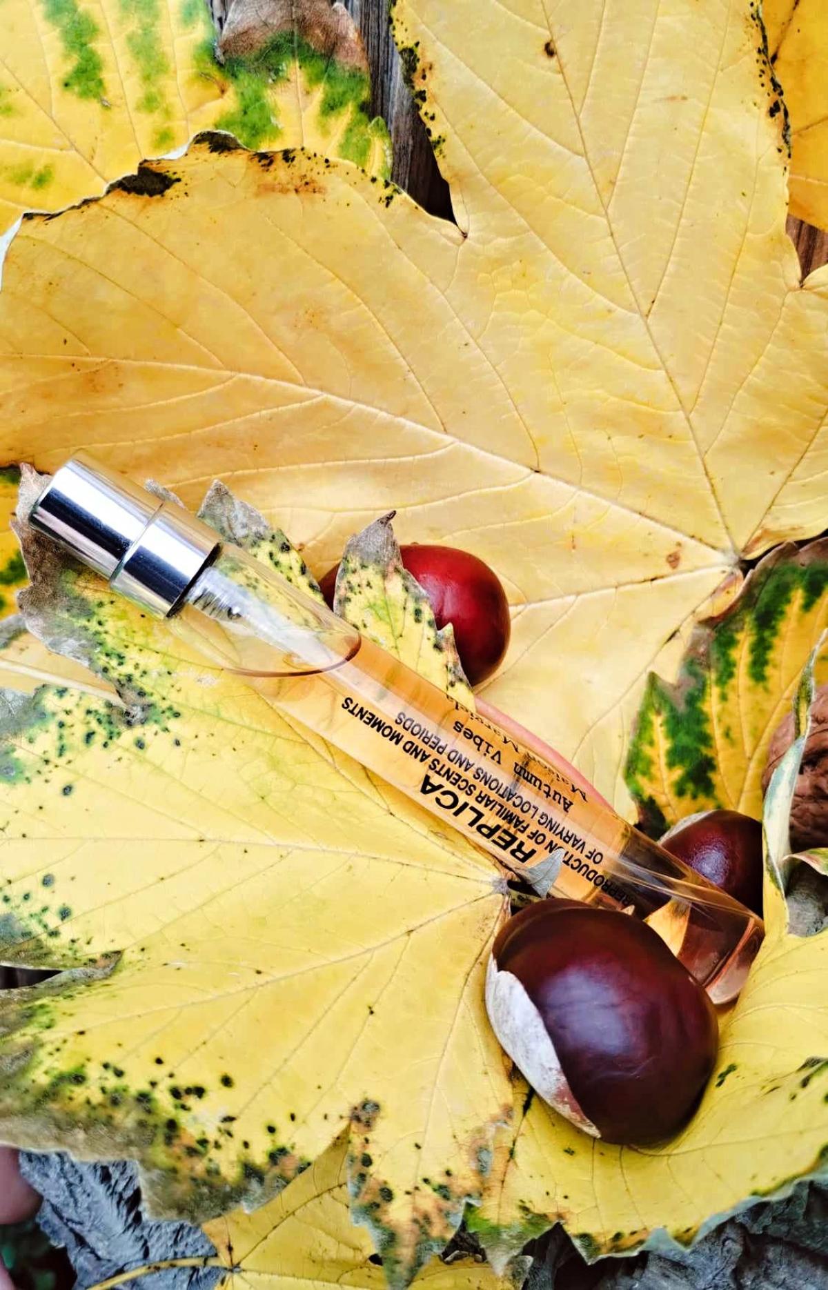 Autumn Vibes Maison Martin Margiela perfume - a fragrance for women and ...