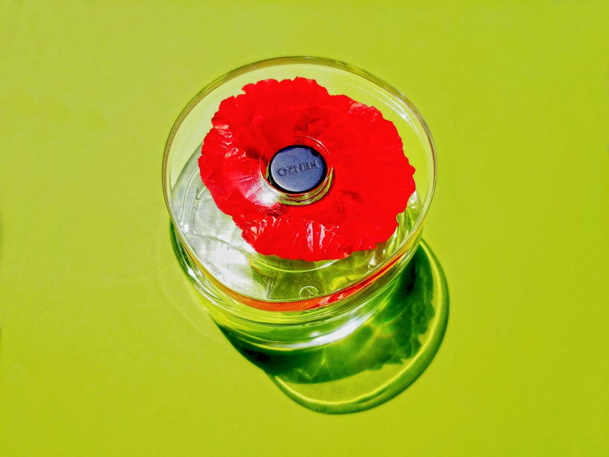Flower in the Air Kenzo perfume a fragrance for women 2013