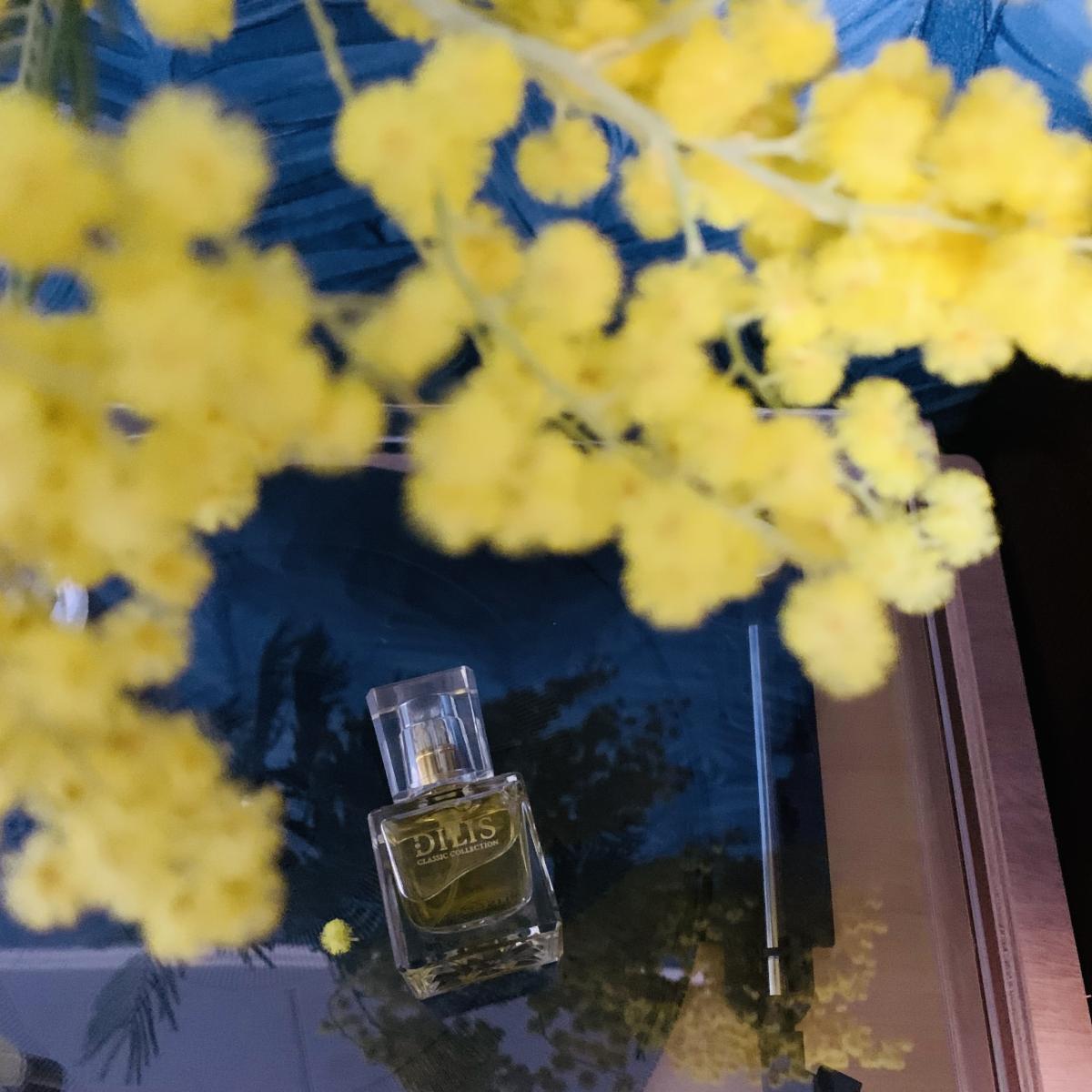 Dilis Classic Collection No. 37 Dilís Parfum perfume - a fragrance for ...