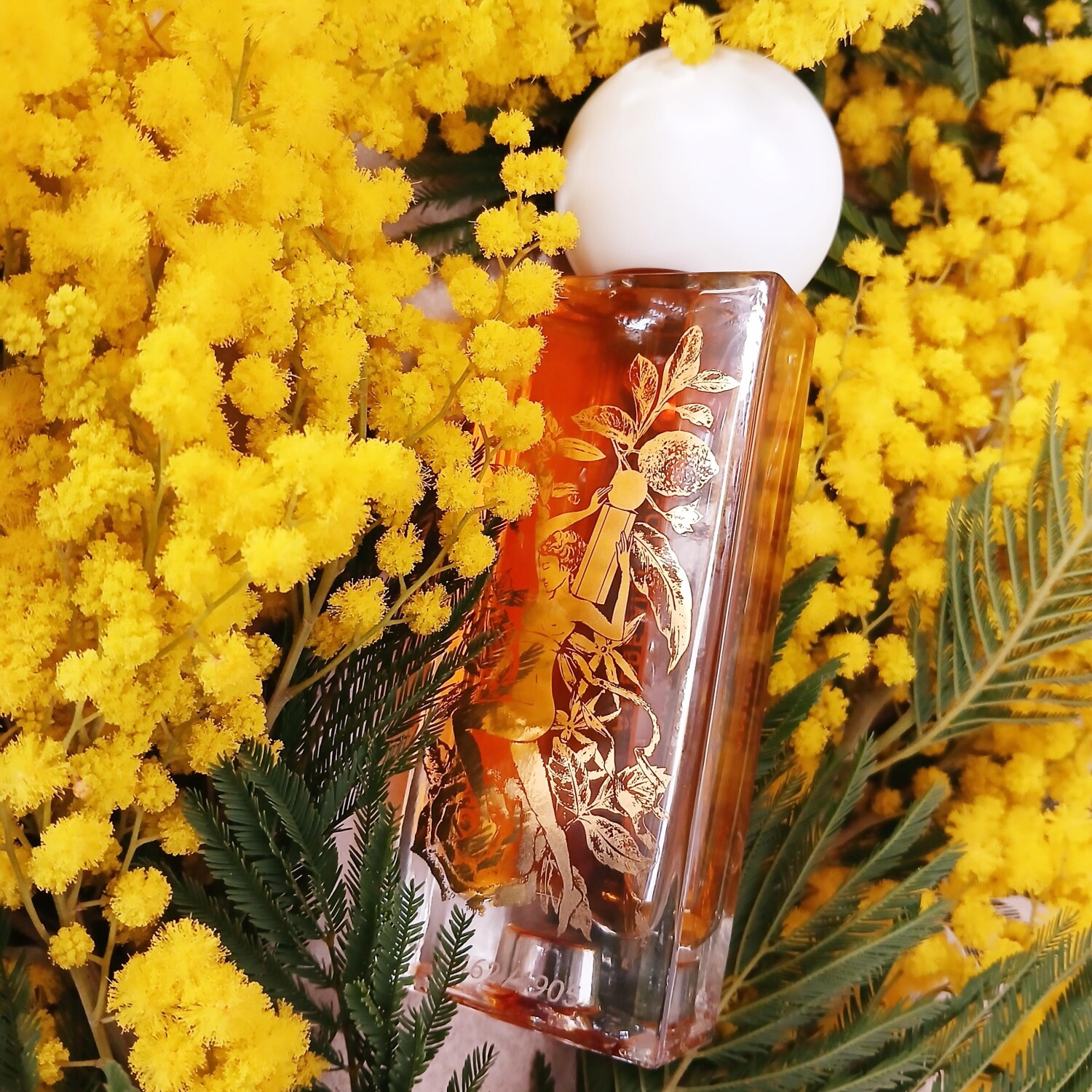 Infiniment Ambre Antique Infiniment Coty Paris عطر - a جديد fragrance للجنسين 2025
