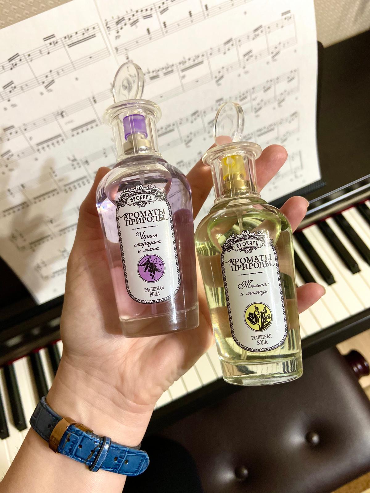 Chernaya Smorodina i Myata (Черная смородина и мята) Brocard perfume ...