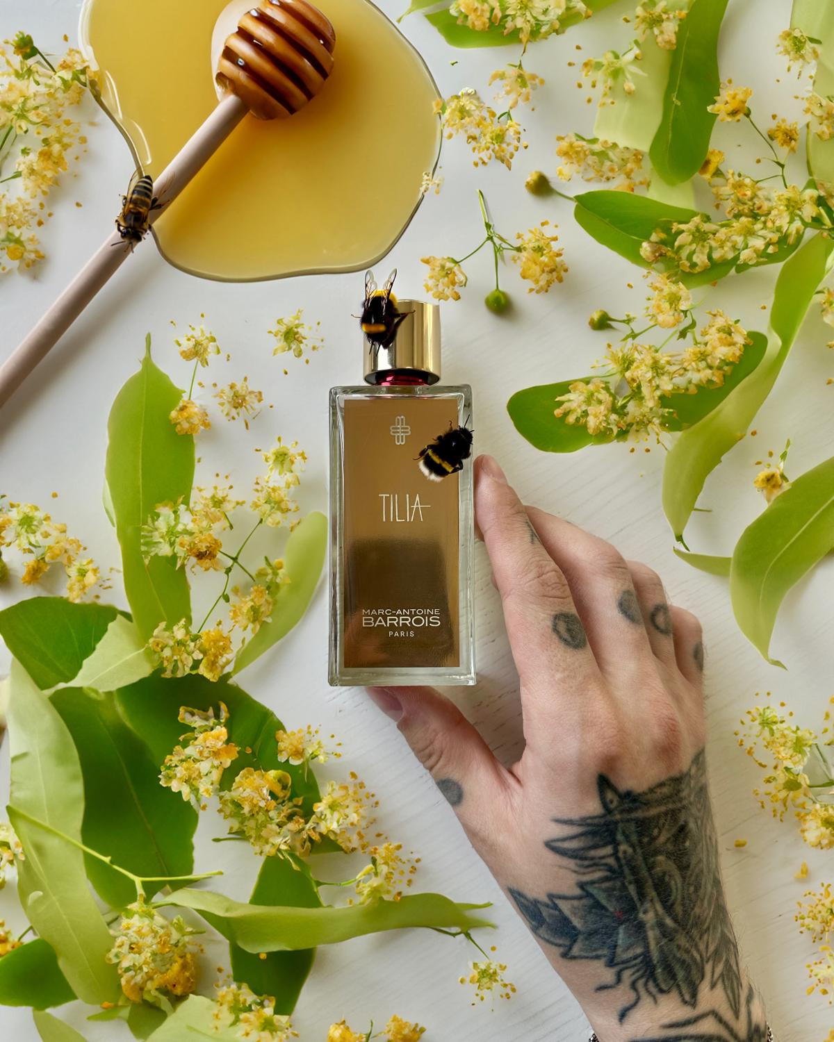 Tilia Marc-Antoine Barrois perfume - a new fragrance for women and men 2024